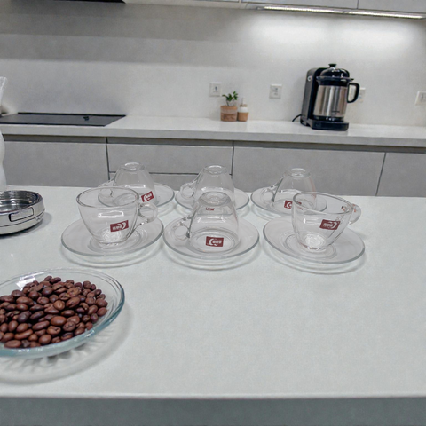 Cup and Saucer 12PC  Clear