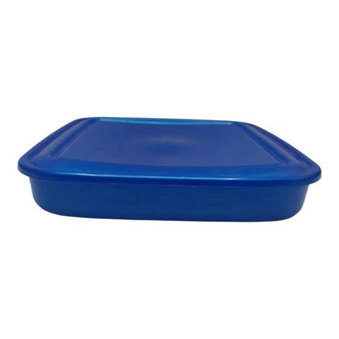 Olive Italy Container 4 & Lid 2LT