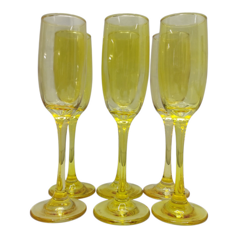 Elegant Champagne Glass 6 pcs Set