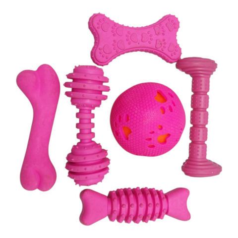 Pet Toy 6 Piece Variety Set