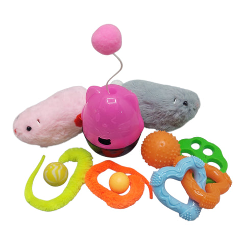 Pet Toy 6 Piece Variety Set