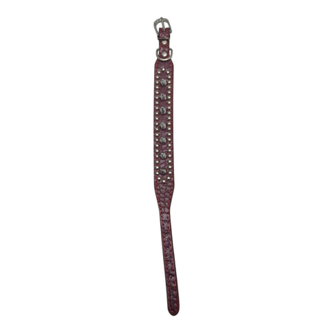 Pet Collar