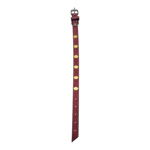 Pet Collar