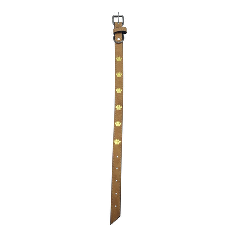 Pet Collar