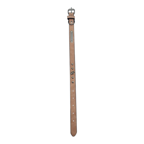 Pet Collar
