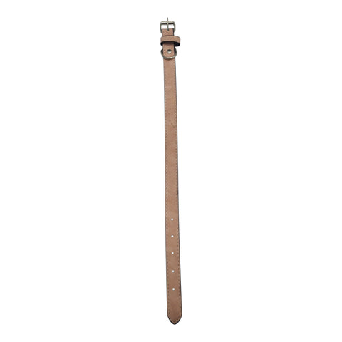 Pet Collar