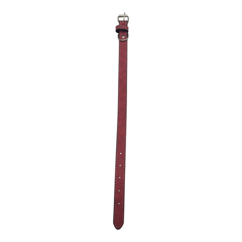 Pet Collar