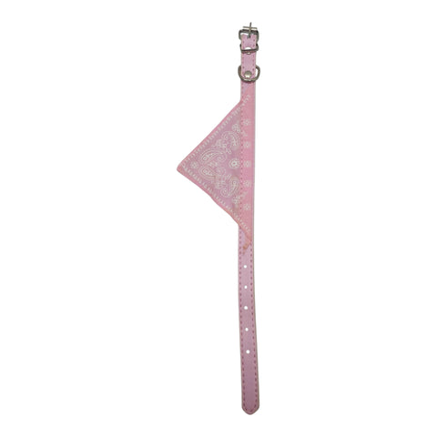 Pet Collar with attached Bandana