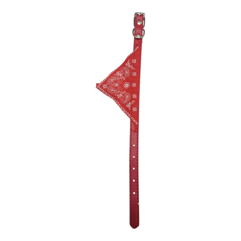 Pet Collar with attached Bandana