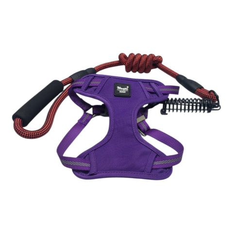 Dog Leash