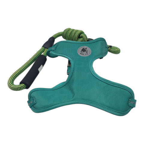 Dog Leash