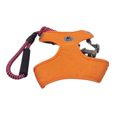 Dog Leash