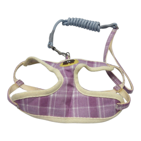 Dog Leash