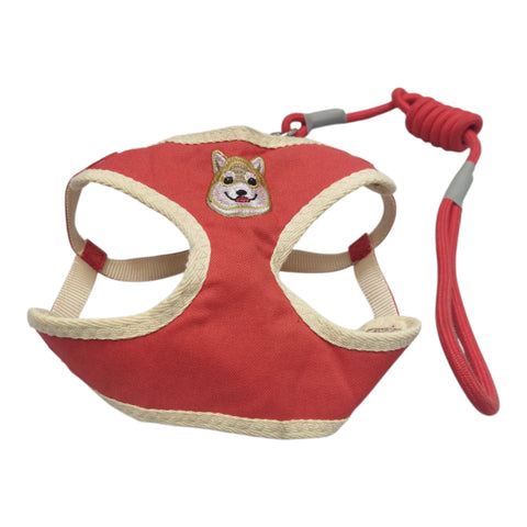 Dog Leash