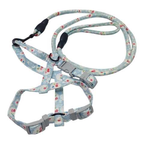 Dog Leash