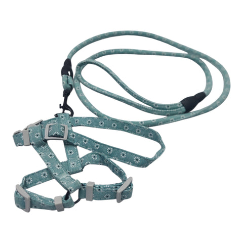Dog Leash