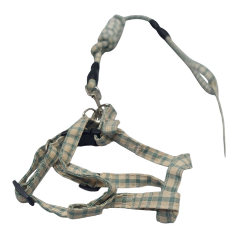 Dog Leash