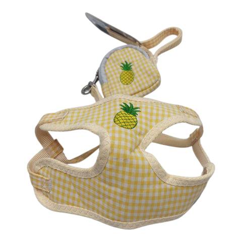 Dog Leash with Pouch