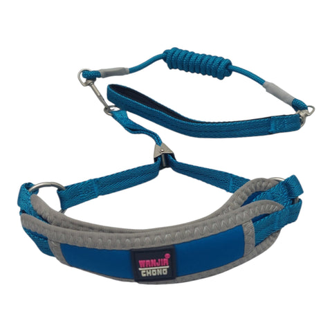 Dog Leash