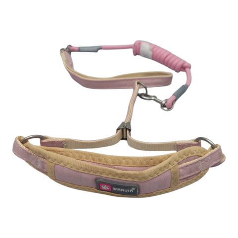Dog Leash