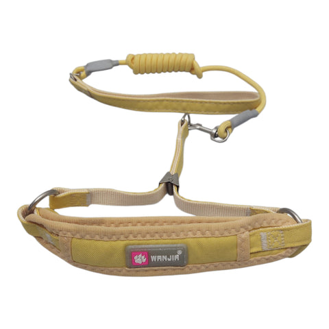Dog Leash