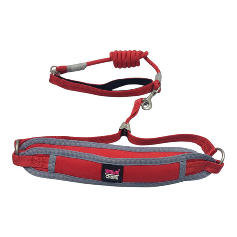 Dog Leash