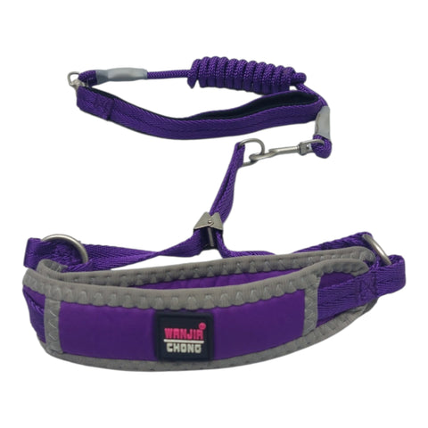 Dog Leash