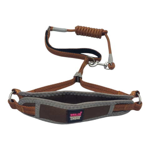 Dog Leash