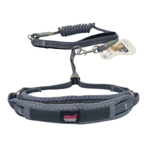 Dog Leash