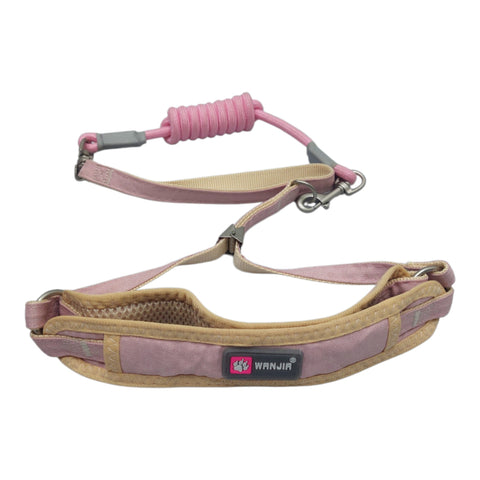 Dog Leash
