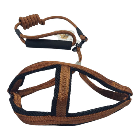 Dog Leash
