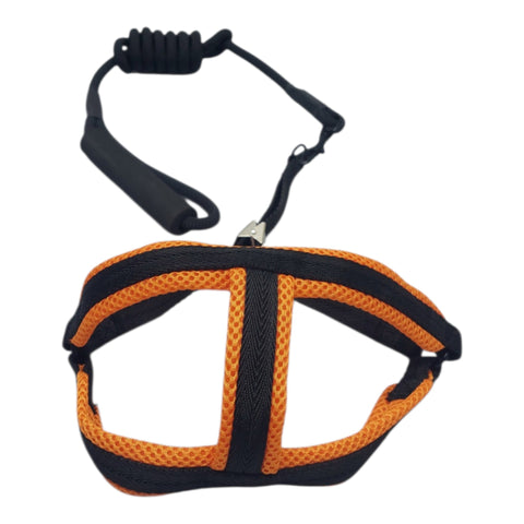 Dog Leash