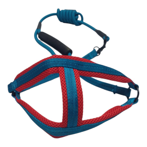 Dog Leash