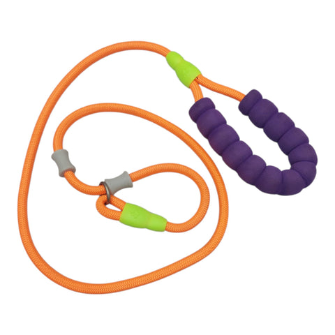 Dog Leash