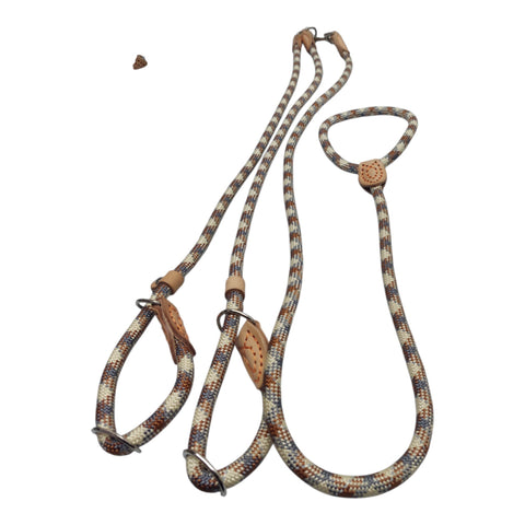 Dog Leash