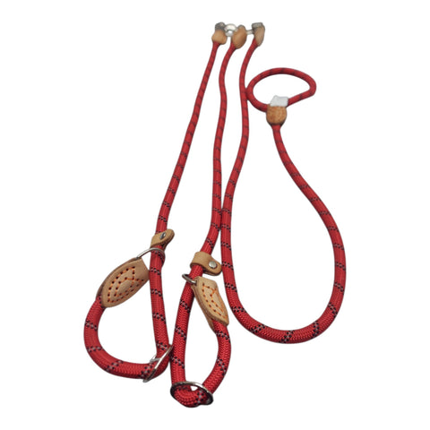 Dog Leash