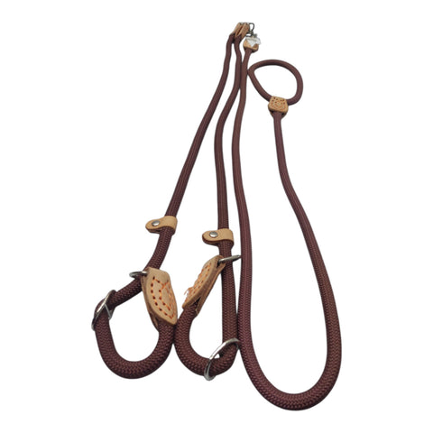 Dog Leash