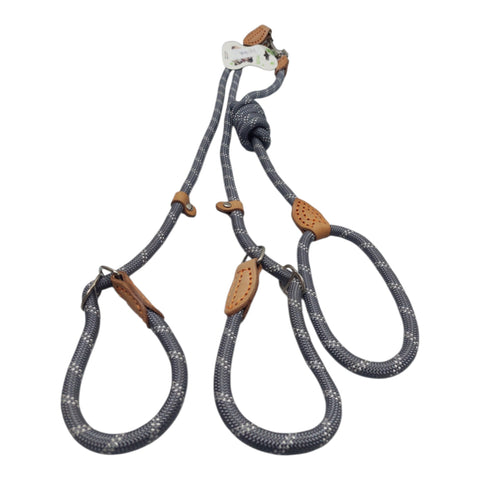 Dog Leash