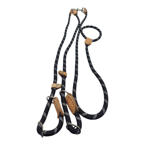 Dog Leash