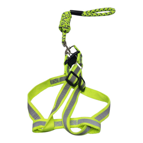 Dog Leash
