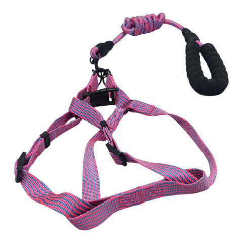 Dog Leash