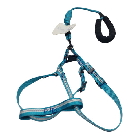 Dog Leash