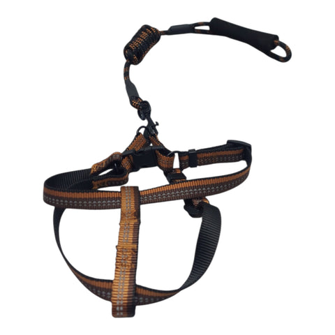 Dog Leash