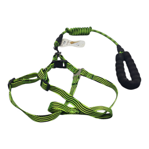 Dog Leash