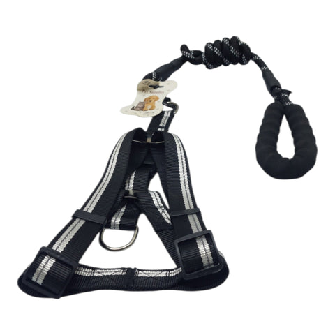 Dog Leash