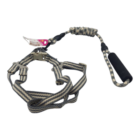 Dog Leash