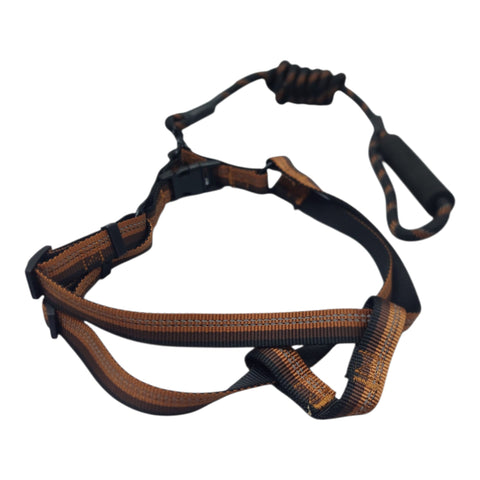Dog Leash