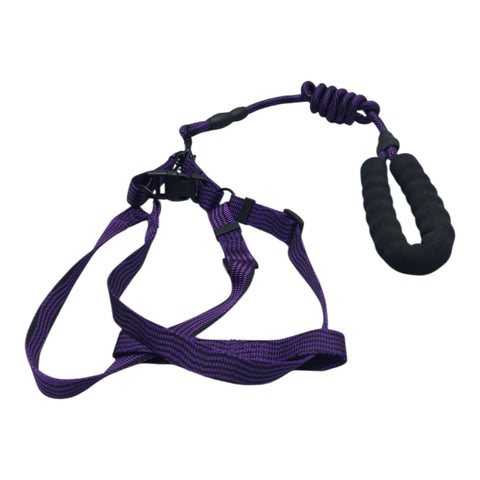 Dog Leash