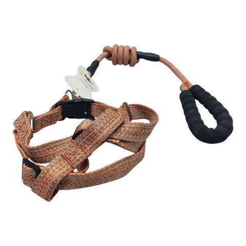 Dog Leash