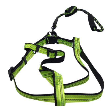 Dog Leash Large